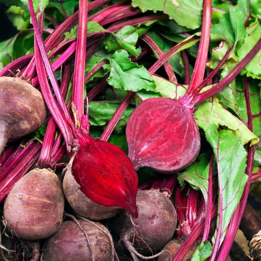 How to Grow Beets