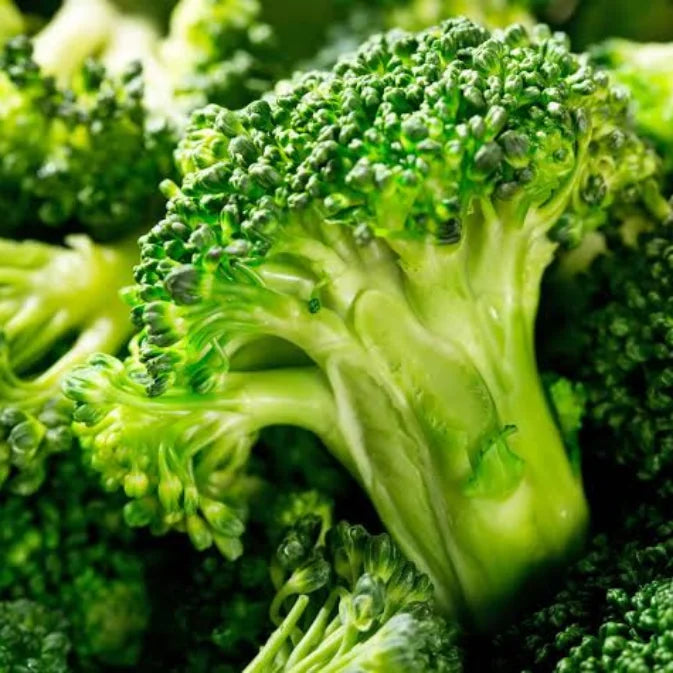 How to Grow Broccoli