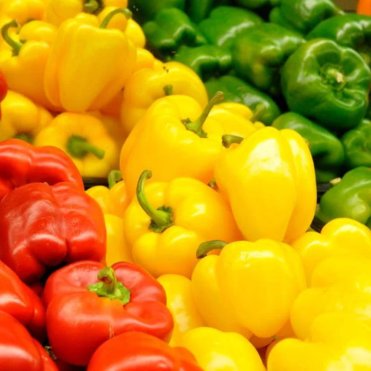 How to Grow Peppers