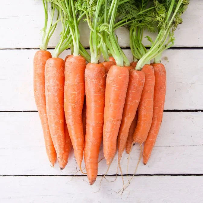 How to Grow Carrots