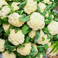 How to Grow Cauliflower