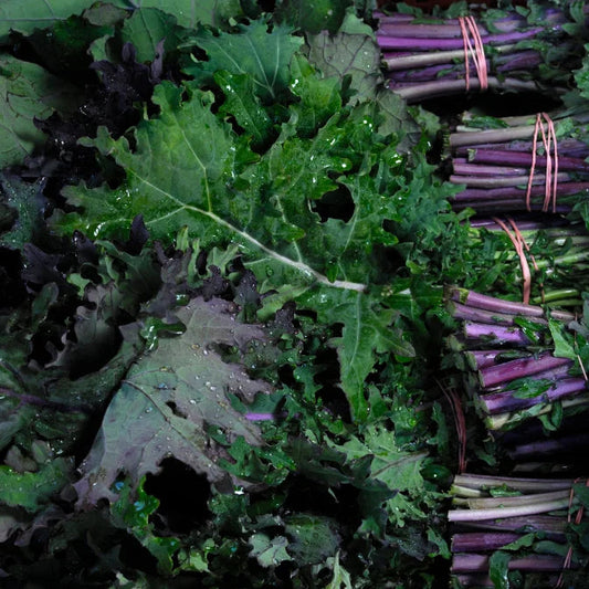 How to Grow Kale