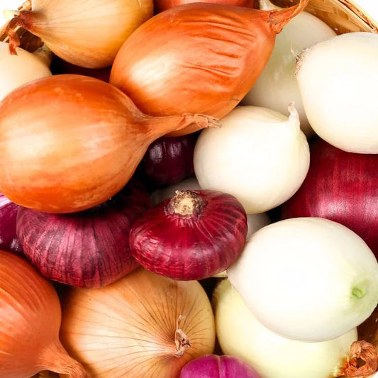 How to Grow Onions