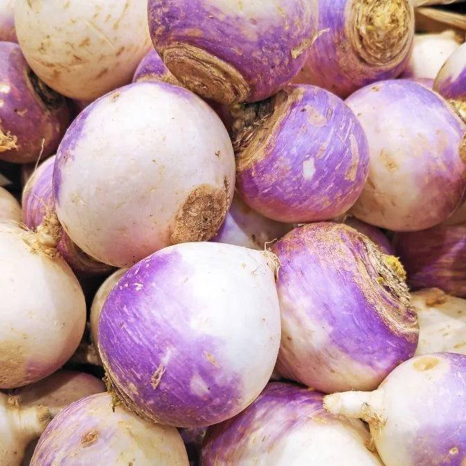 How to Grow Turnips