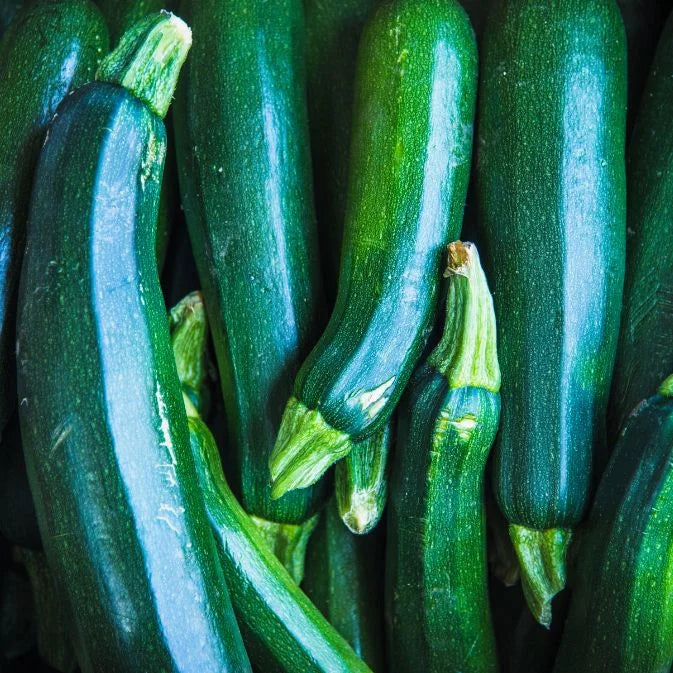 How to Grow Zucchini